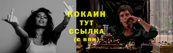спиды Алзамай