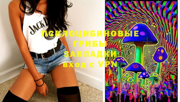 бошки Алексеевка
