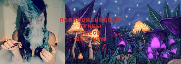 бошки Алексеевка