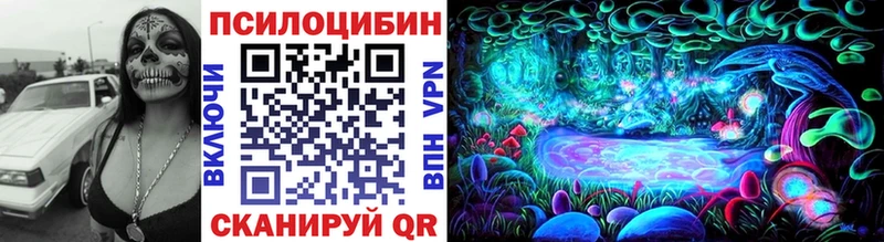 Псилоцибиновые грибы прущие грибы  shop состав  Спасск-Рязанский 
